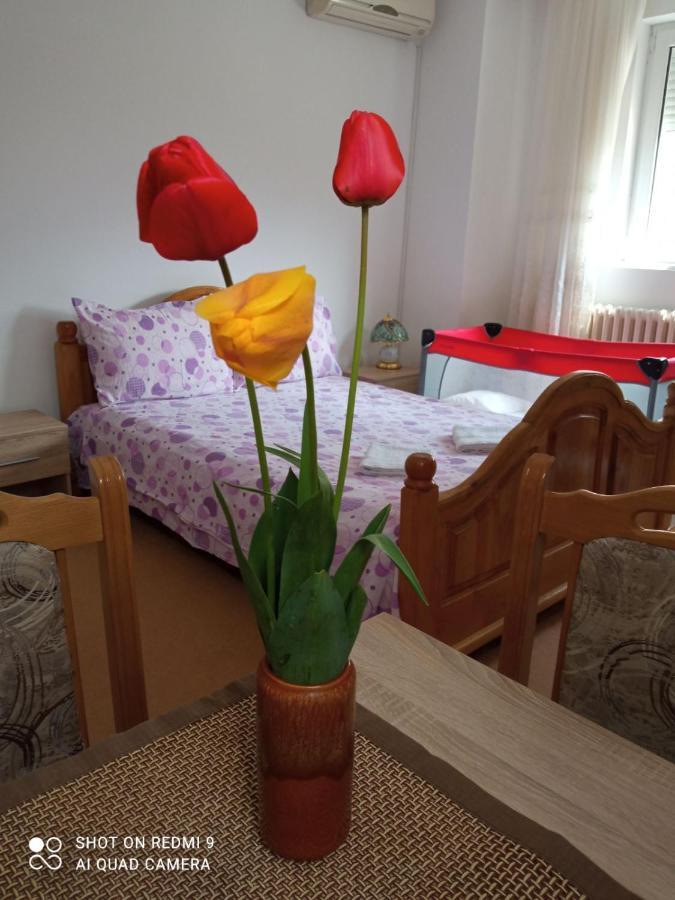 Apartman Andelina Vrnjačka Banja Exterior foto