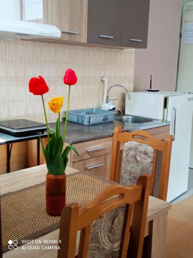 Apartman Andelina Vrnjačka Banja Exterior foto