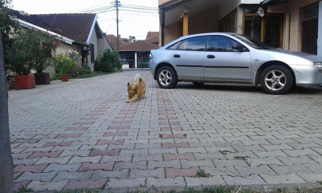 Apartman Andelina Vrnjačka Banja Exterior foto
